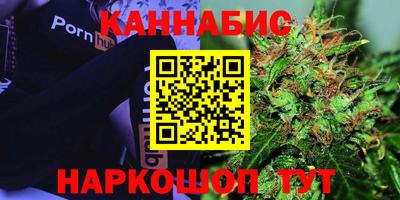 амф Новодвинск