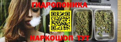 амф Новодвинск