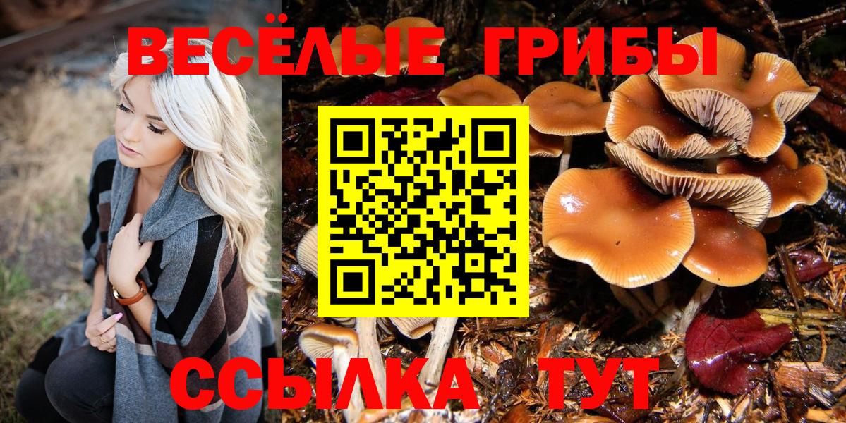 Псилоцибиновые грибы MAGIC MUSHROOMS  Вход с VPN  магазин  наркотиков  Самара 